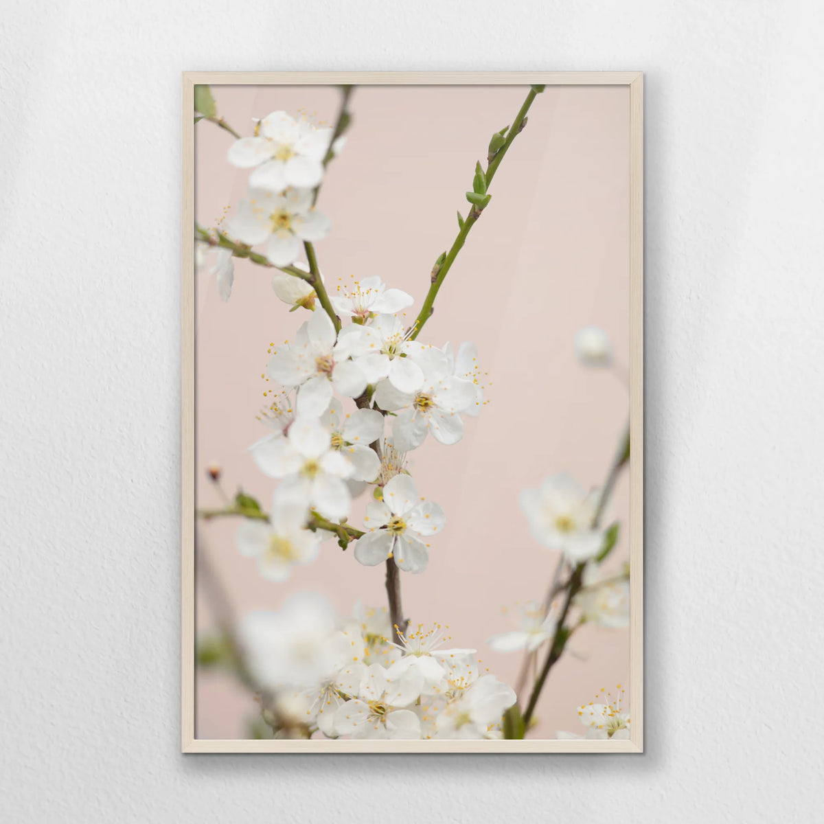 PN-062W093