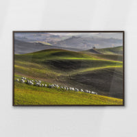 LWN120W080