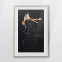 PNP070W100
