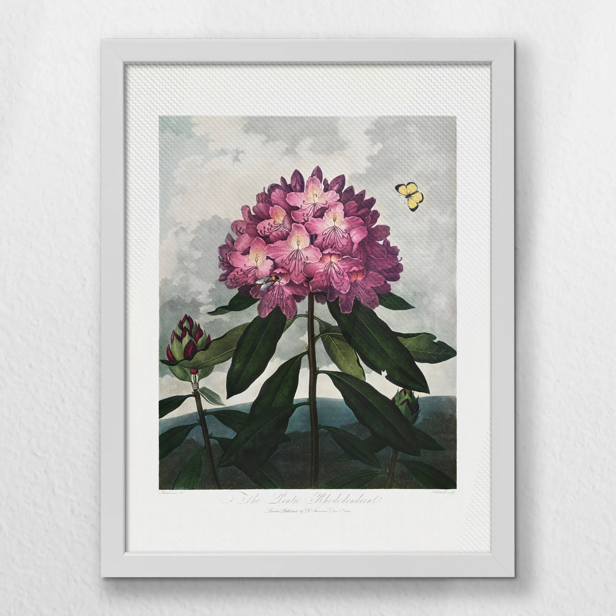 LWW030W040