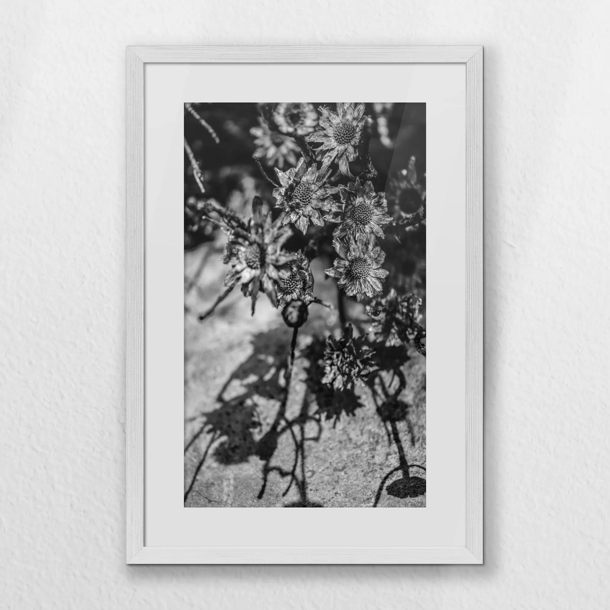 PWP040W060
