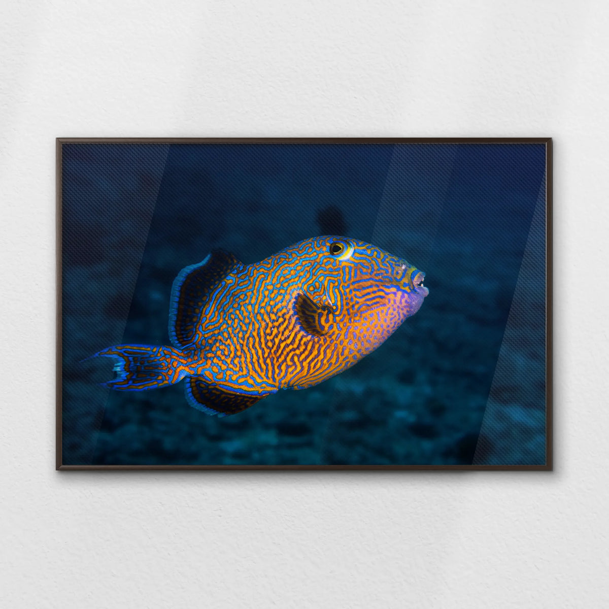 LWN120W080
