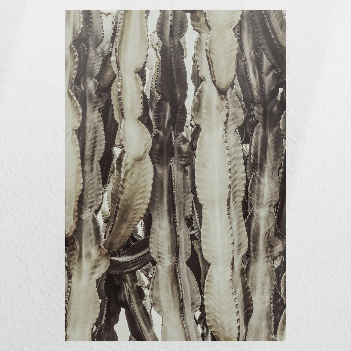 PO-050W075