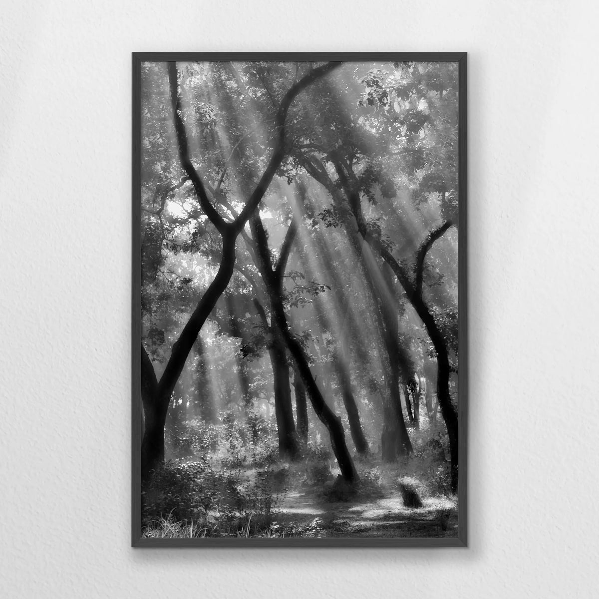 PK-062W093