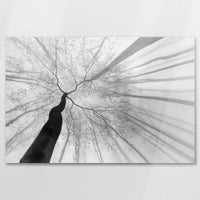 AC-090W060