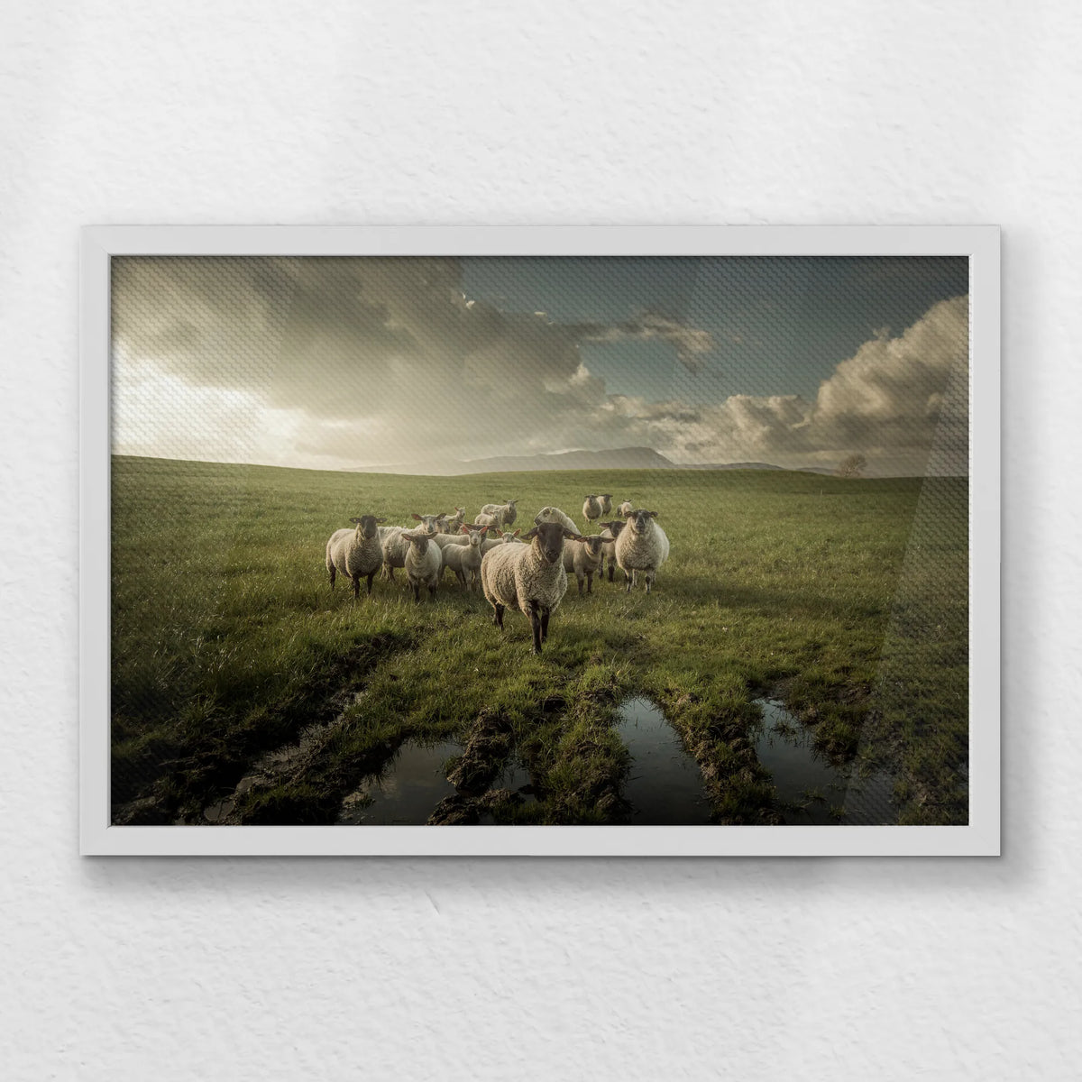 LWW060W040
