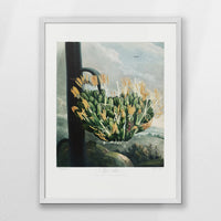 PW-050W070