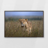 LWN120W080
