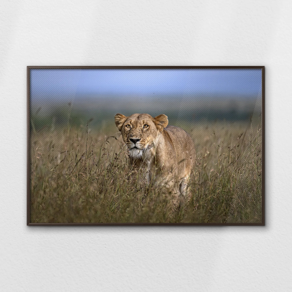 LWN120W080