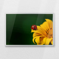 PS-060W040