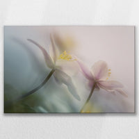 LW-090W060