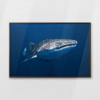 LWN120W080