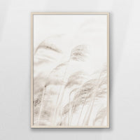 PN-062W093