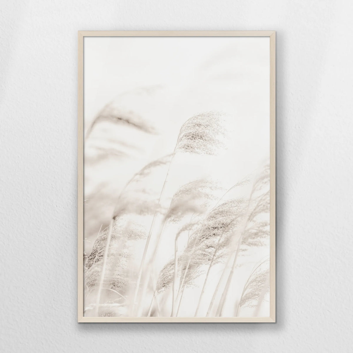 PN-062W093