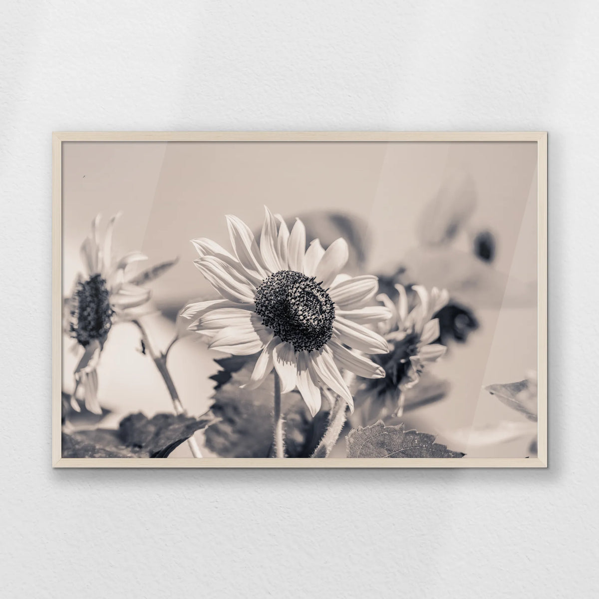 PN-093W062