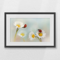 PKP060W040