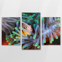 AL-120T080