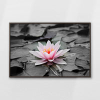 LWN120W080