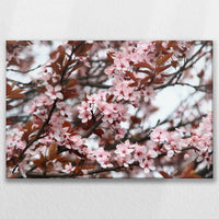 LW-075W050