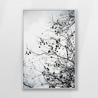 PS-062W093