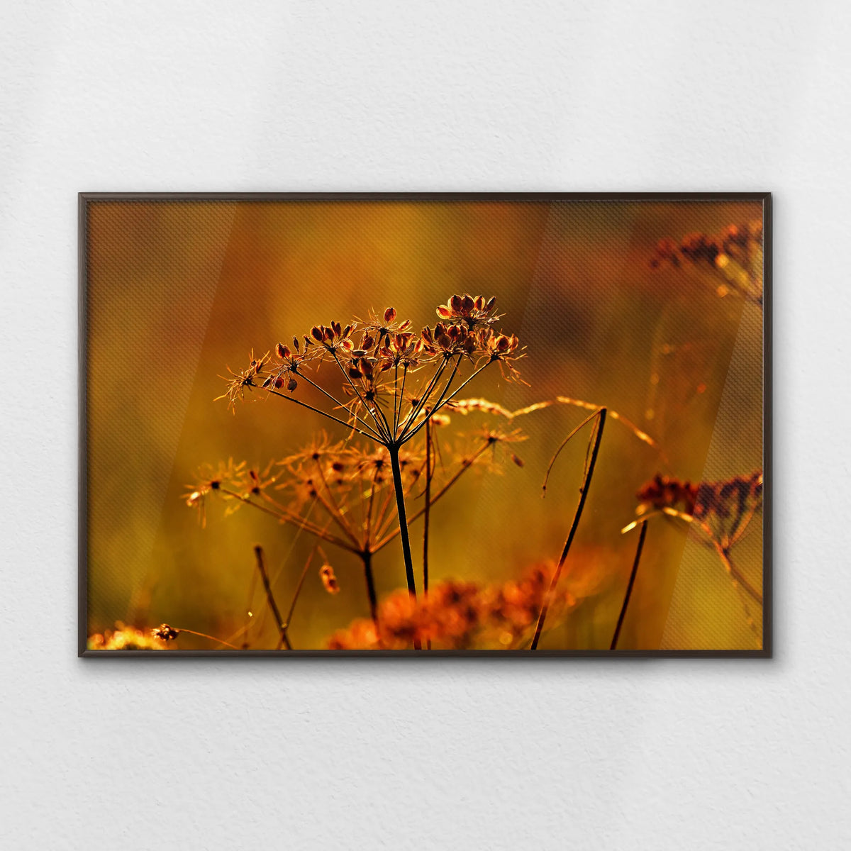 LWN120W080
