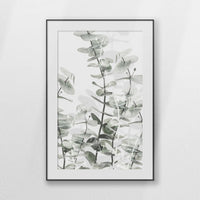 PBP080W120