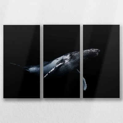 LW-060R040