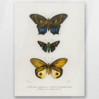 AL-045W060