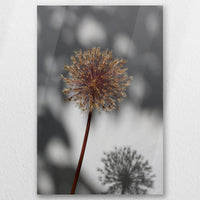 AC-030W045