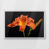 PW-093W062