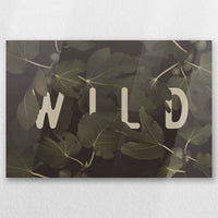 AC-030W020
