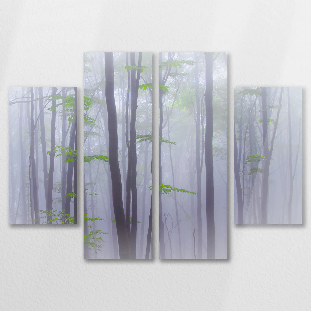 AC-080V060
