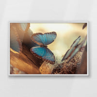 PW-093W062