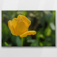 LW-045W030
