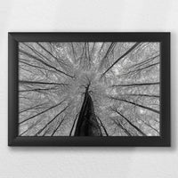 LWB030W020