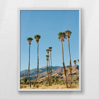 LWW060W080