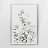 PN-062W093