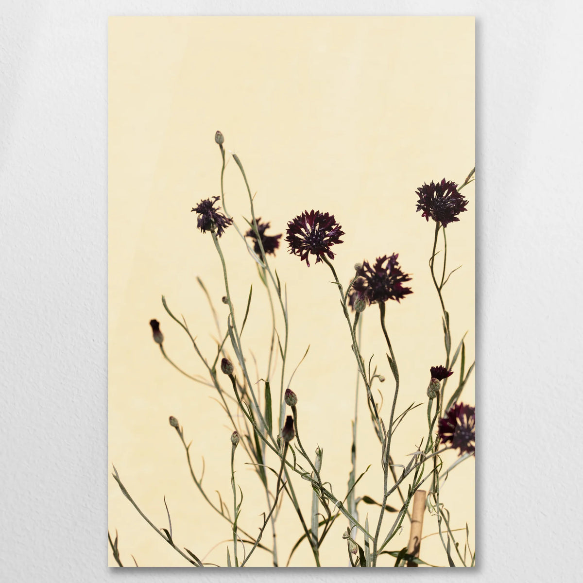 AC-060W090