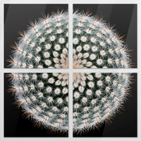 AC-180V180