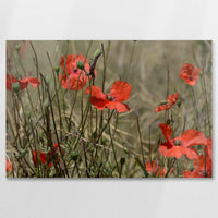 AL-090W060