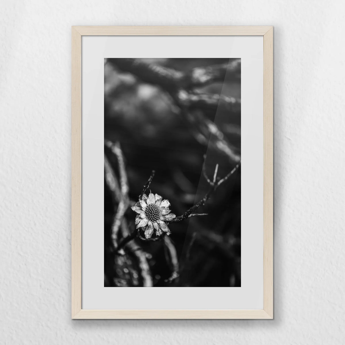 PNP040W060