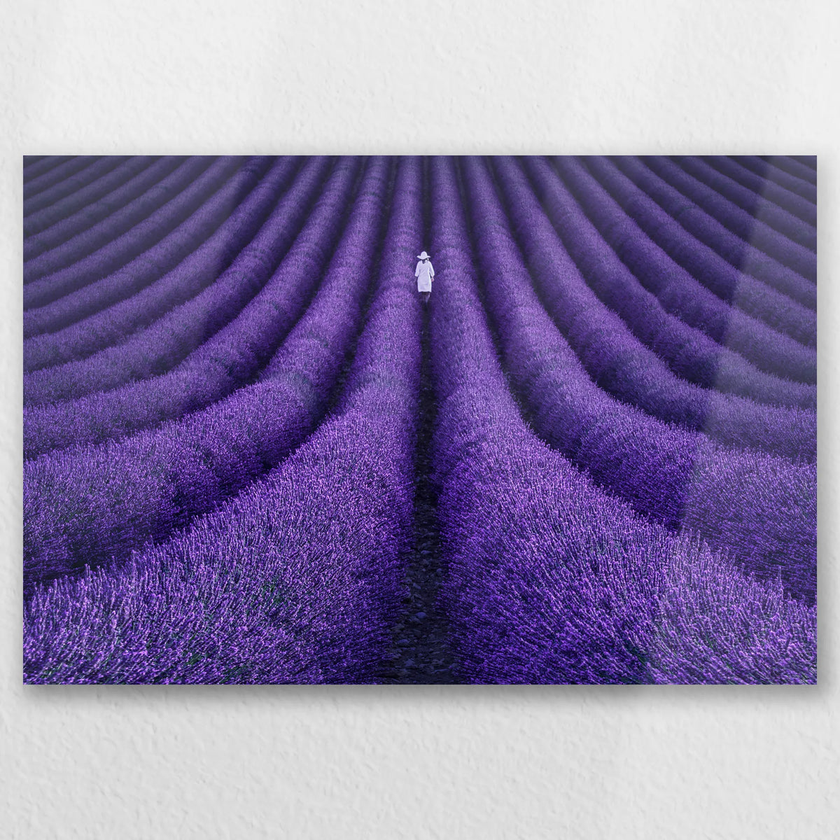 AL-045W030
