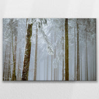 LW-075W050
