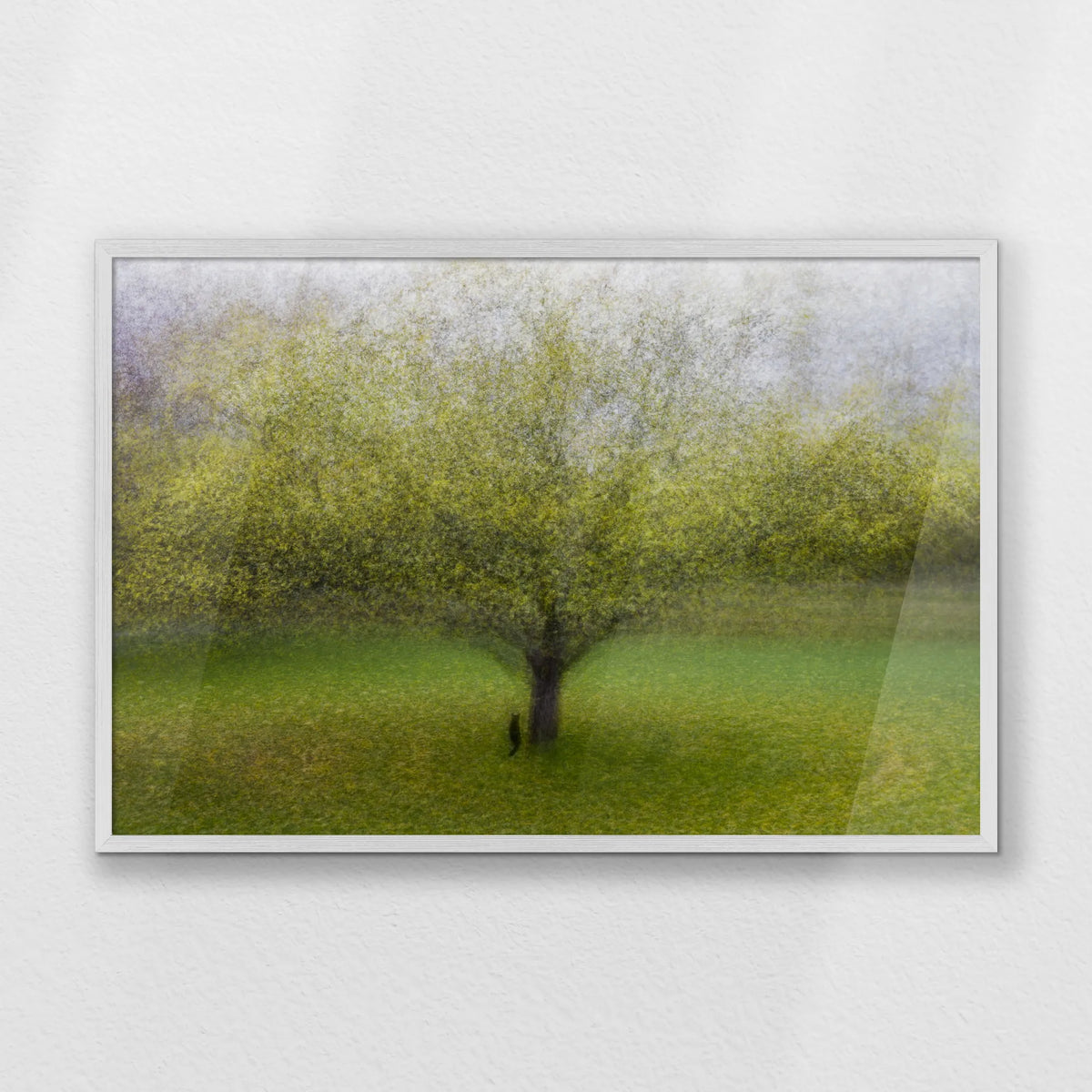 PW-093W062