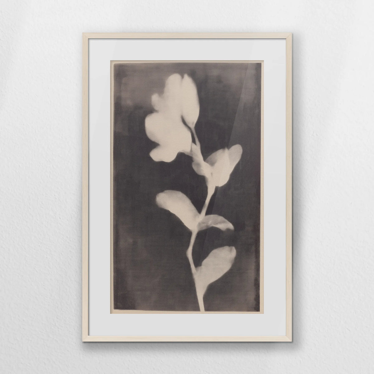 PNP062W093