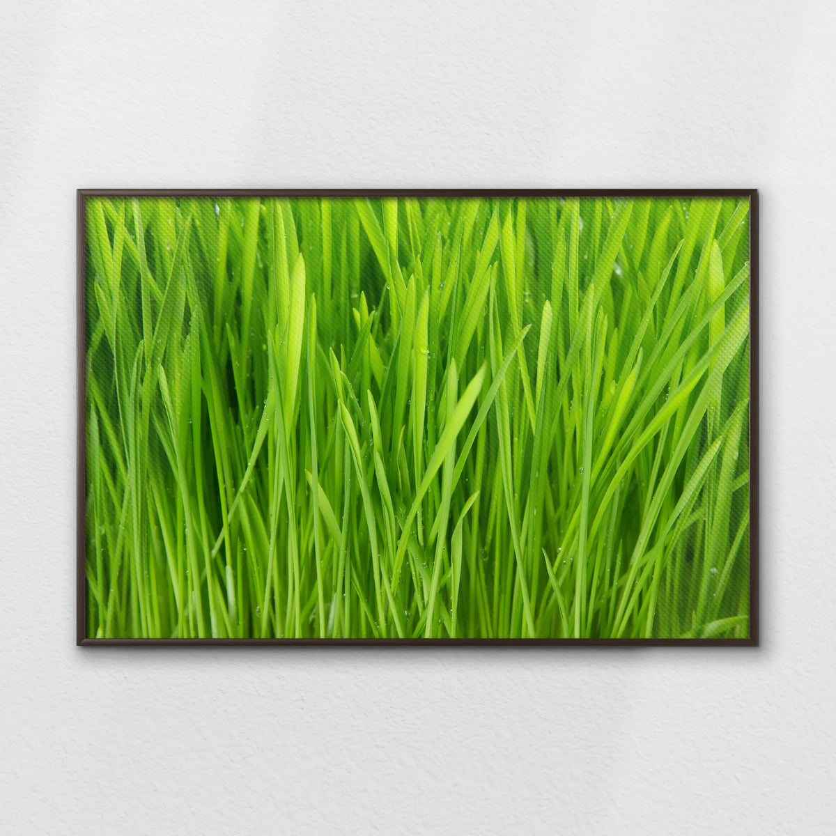 LWN120W080