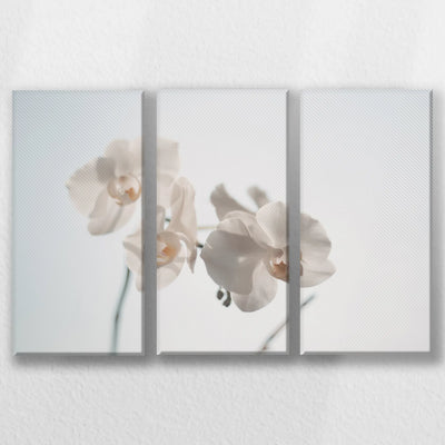 LW-060R040