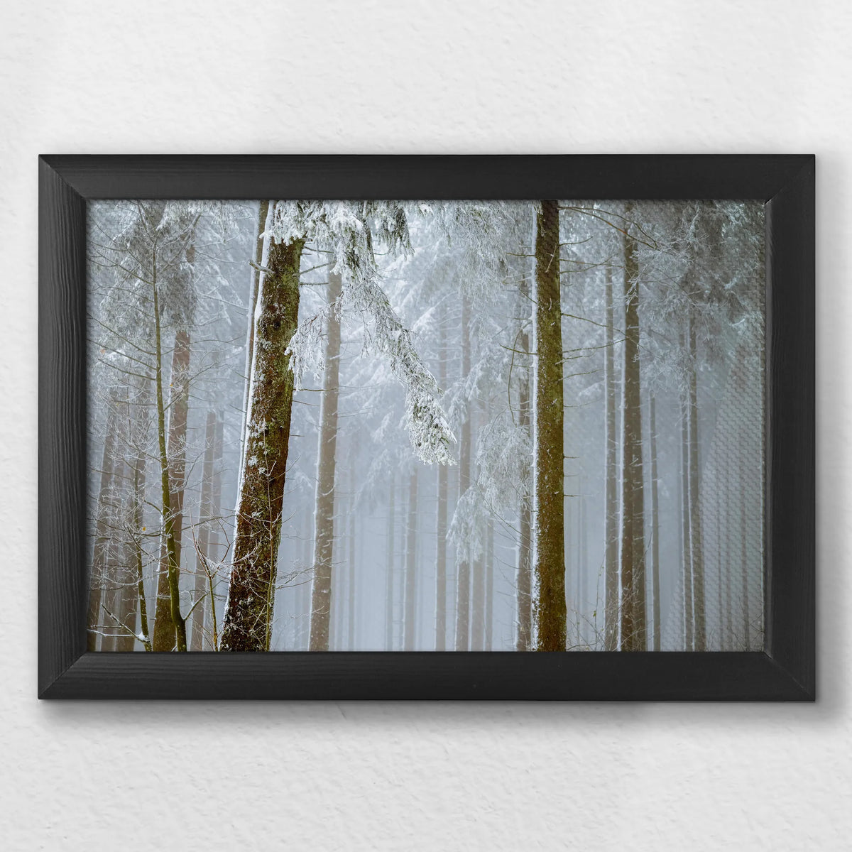LWB030W020