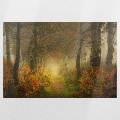 PO-030W020