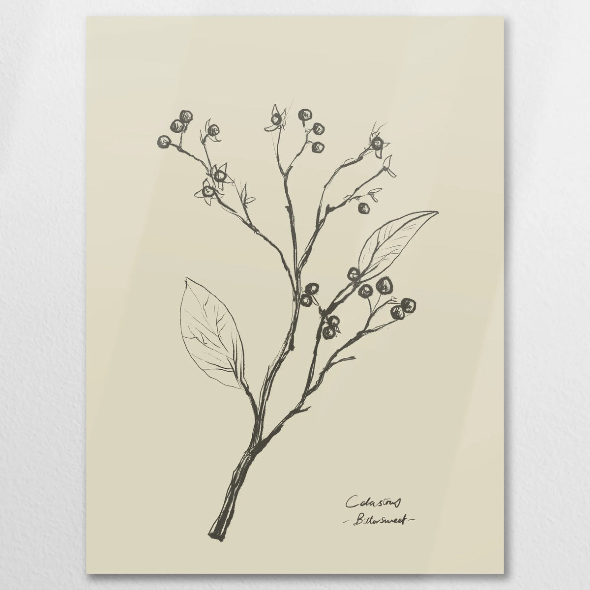 AL-060W080